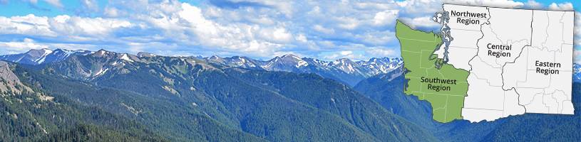 Olympic mountains photo
